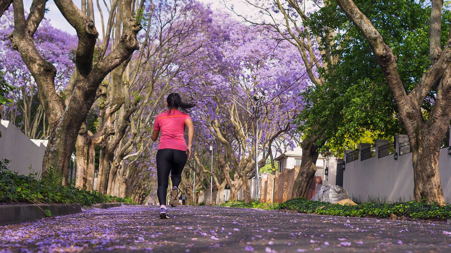 Established running club in Johannesburg